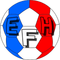 EFHandball cover art