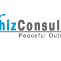 Whizconsulting cover art