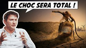 2030 : le choc pétrolier arrive ... Keller prevoit le pire !
