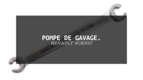 La POMPE de GAVAGE du Vieux SCENIC by bengaragemeca